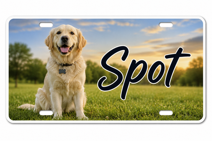 License Plate, Personalized