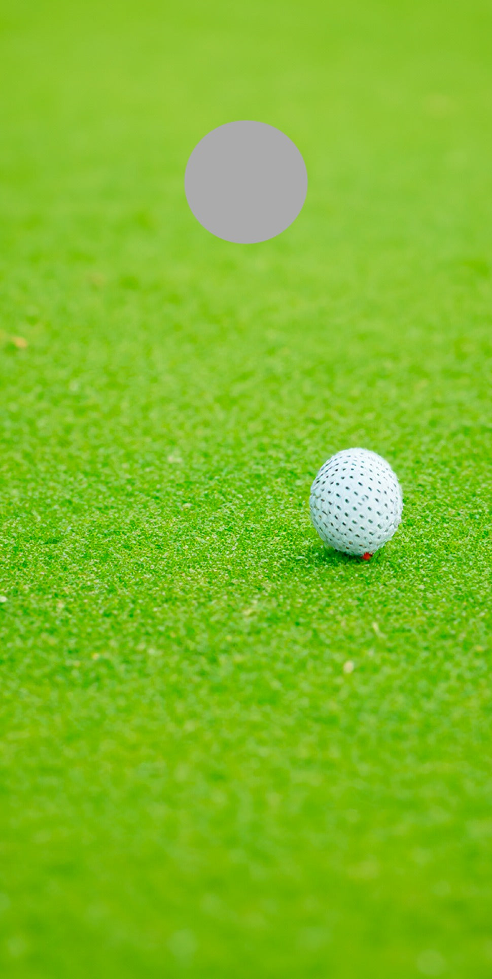 Golf Green cornhole skin artwork