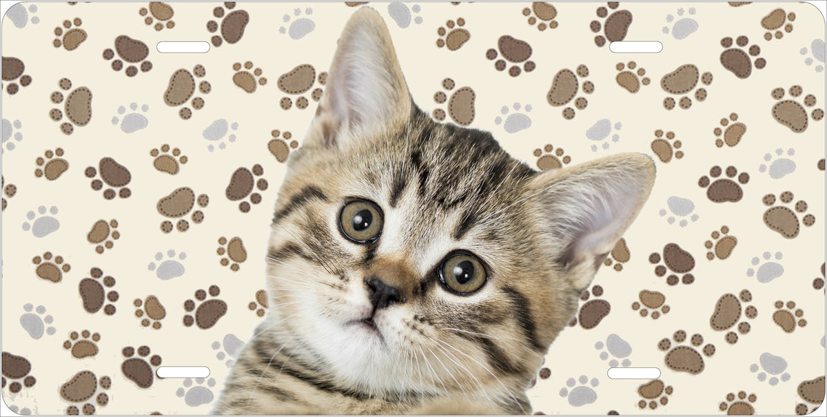 Kitten and Paw Prints license plate design