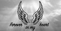 Forever in My Heart — Angel Wings license plate design