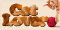 Cat Lover license plate design