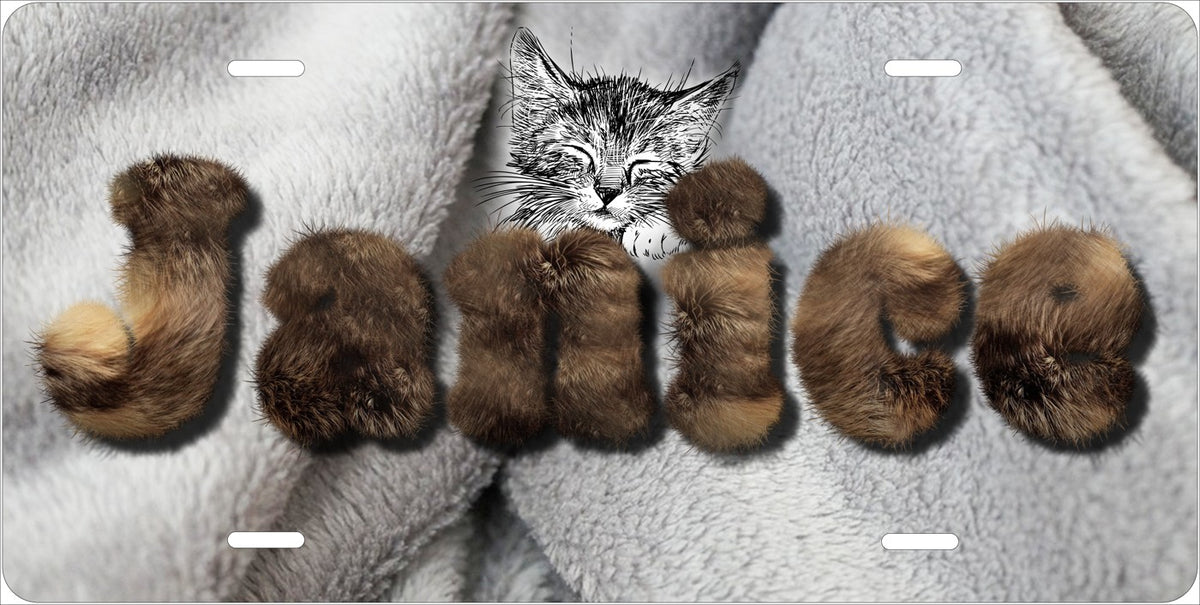 Cat Fur Lettering license plate design; sample names shown