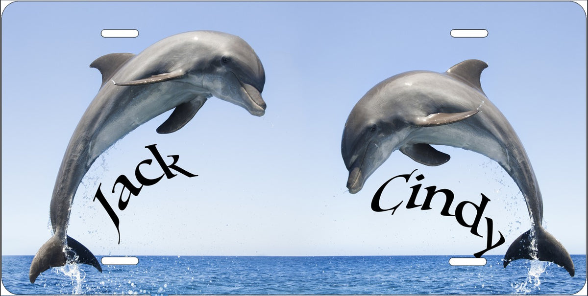 Dolphins license plate design; sample names shown