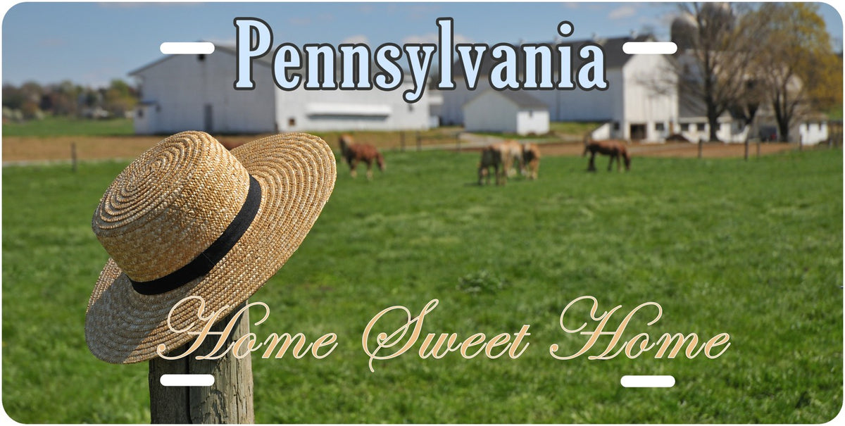 Pennsylvania — Home Sweet Home license plate design