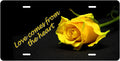 Yellow Rose — Love Comes from the Heart license plate design